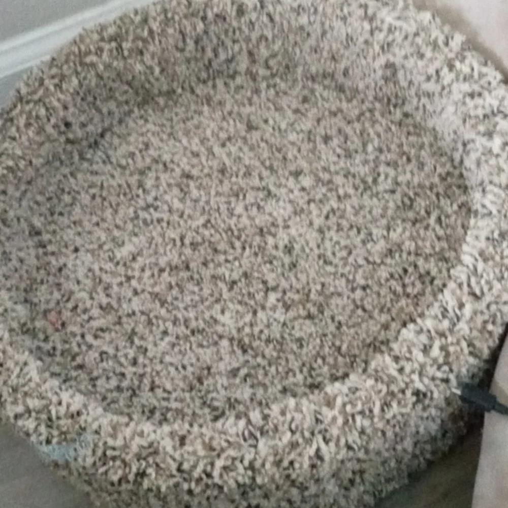cat bed